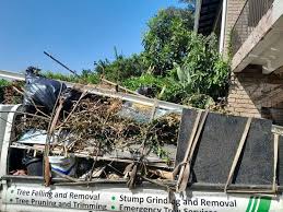 Best Hoarding Cleanup  in Red Bay, AL